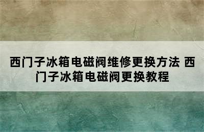 西门子冰箱电磁阀维修更换方法 西门子冰箱电磁阀更换教程